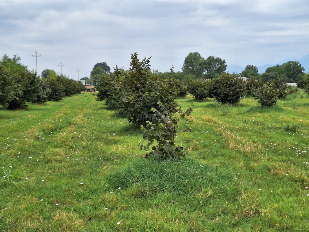 Satılır torpaq sahəsi 100 m²