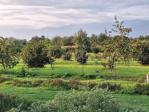 Satılır torpaq sahəsi 100 m²