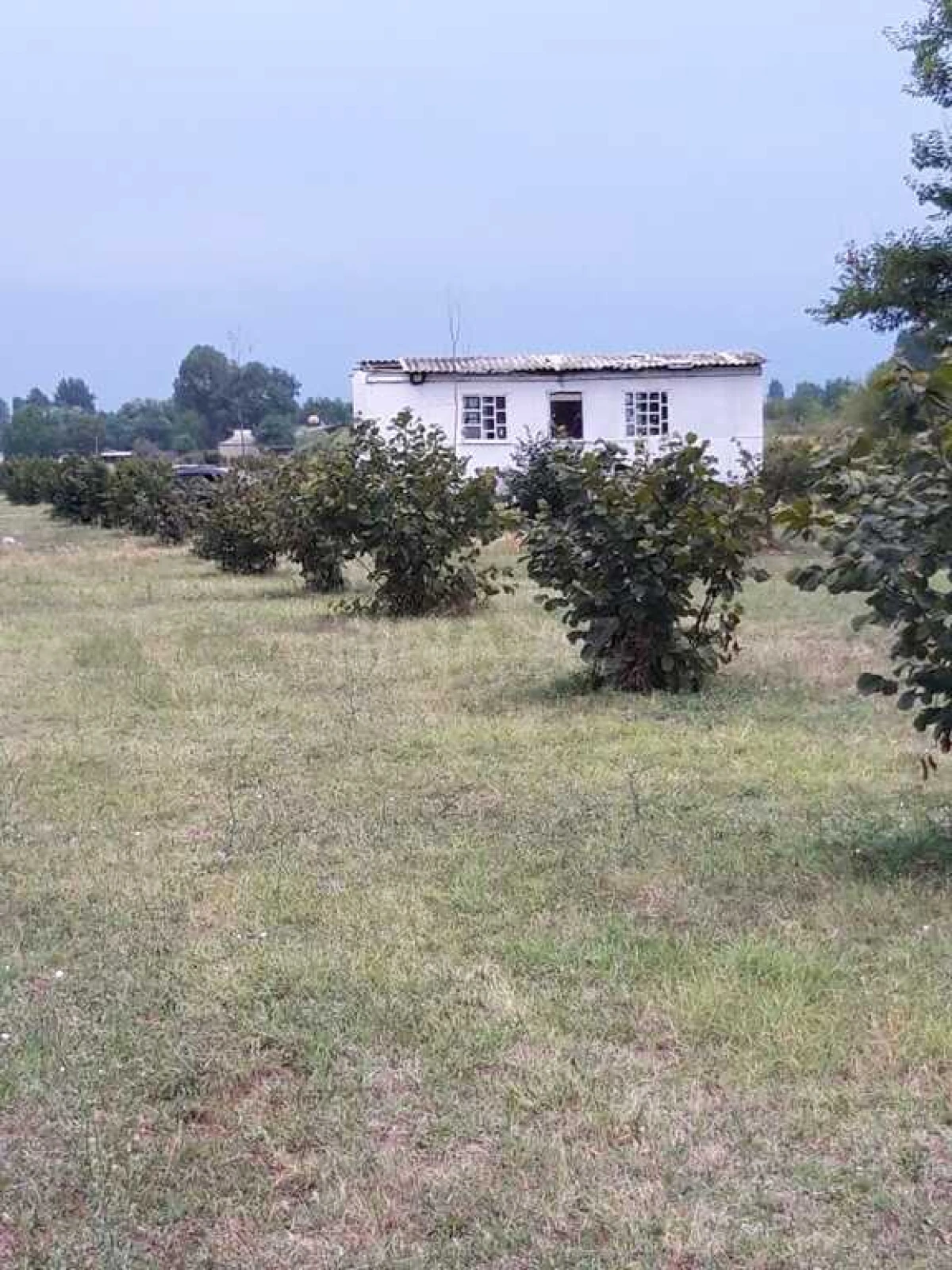 Satılır torpaq sahəsi 100 m²