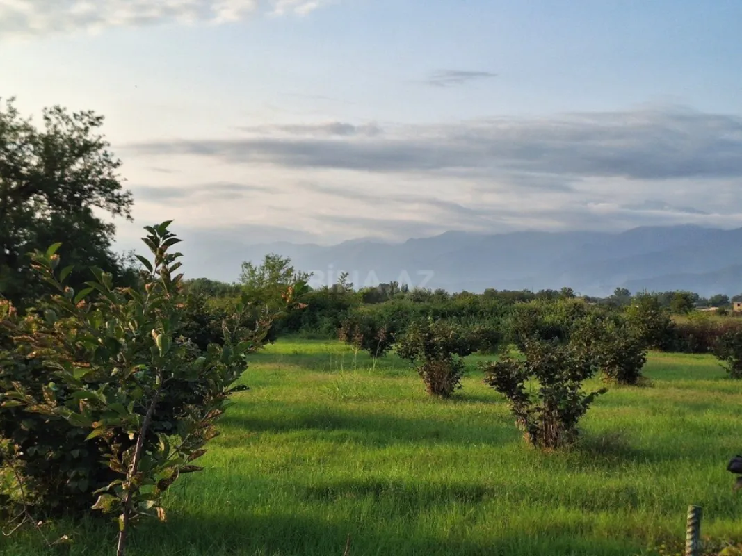 Satılır torpaq sahəsi 100 m²