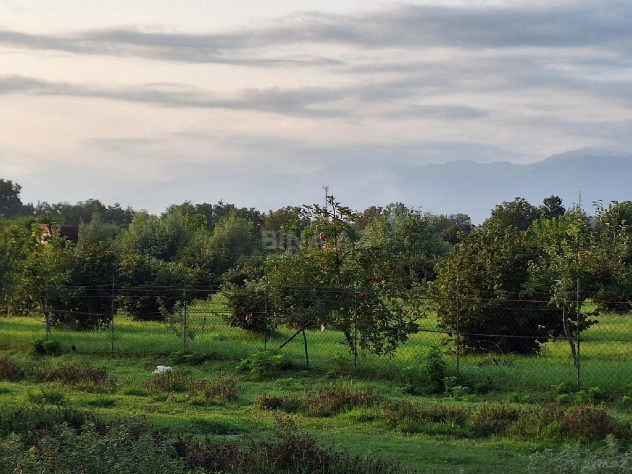 Satılır torpaq sahəsi 100 m²