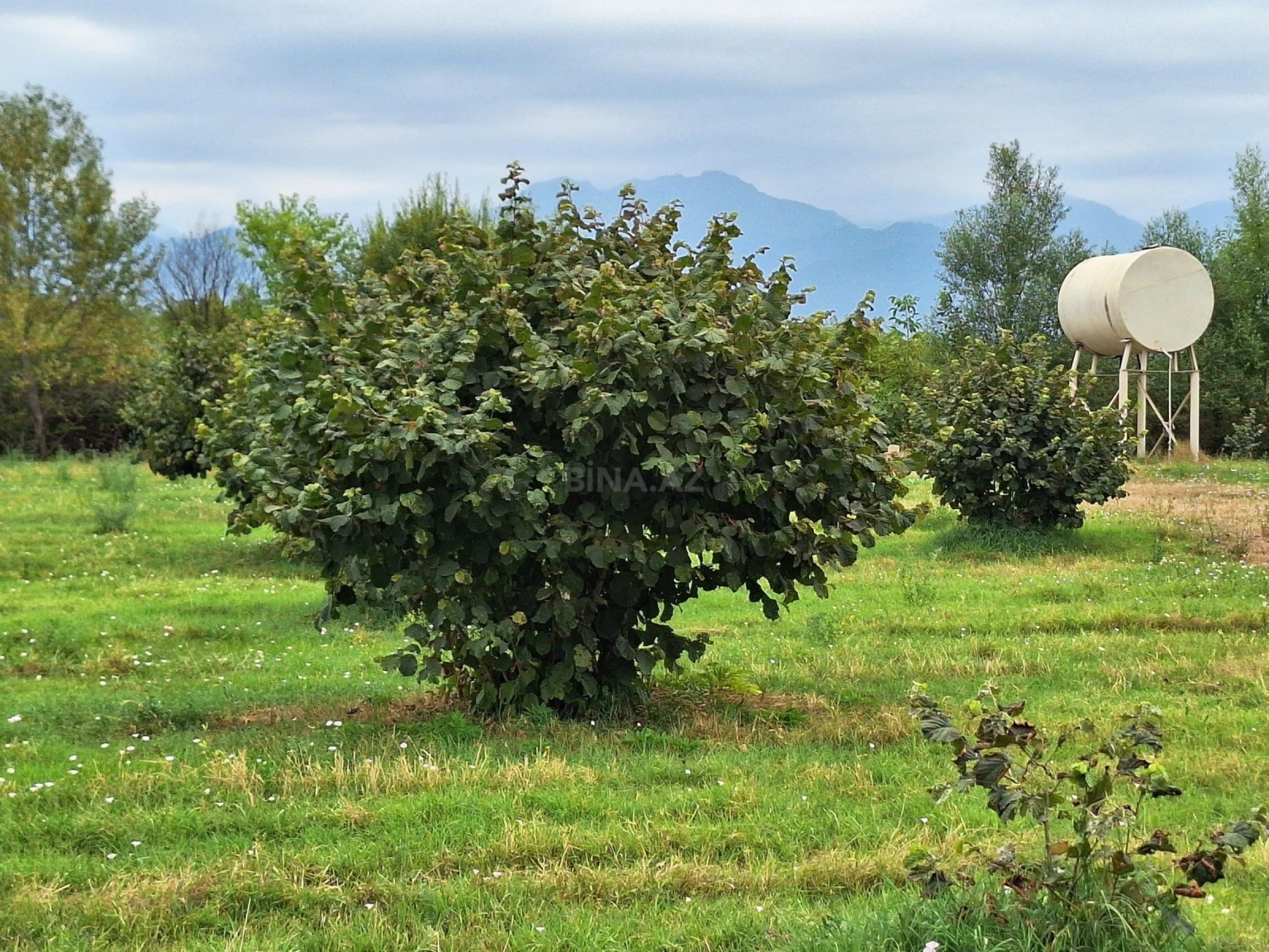 Satılır torpaq sahəsi 100 m²