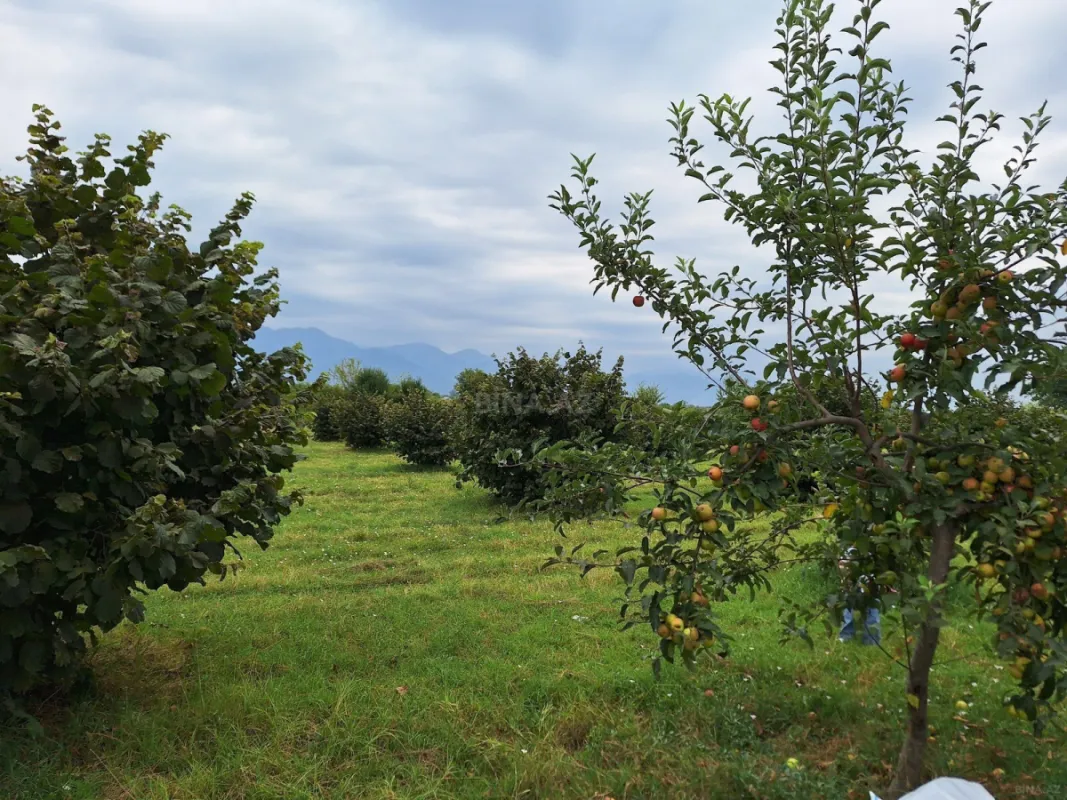 Satılır torpaq sahəsi 100 m²