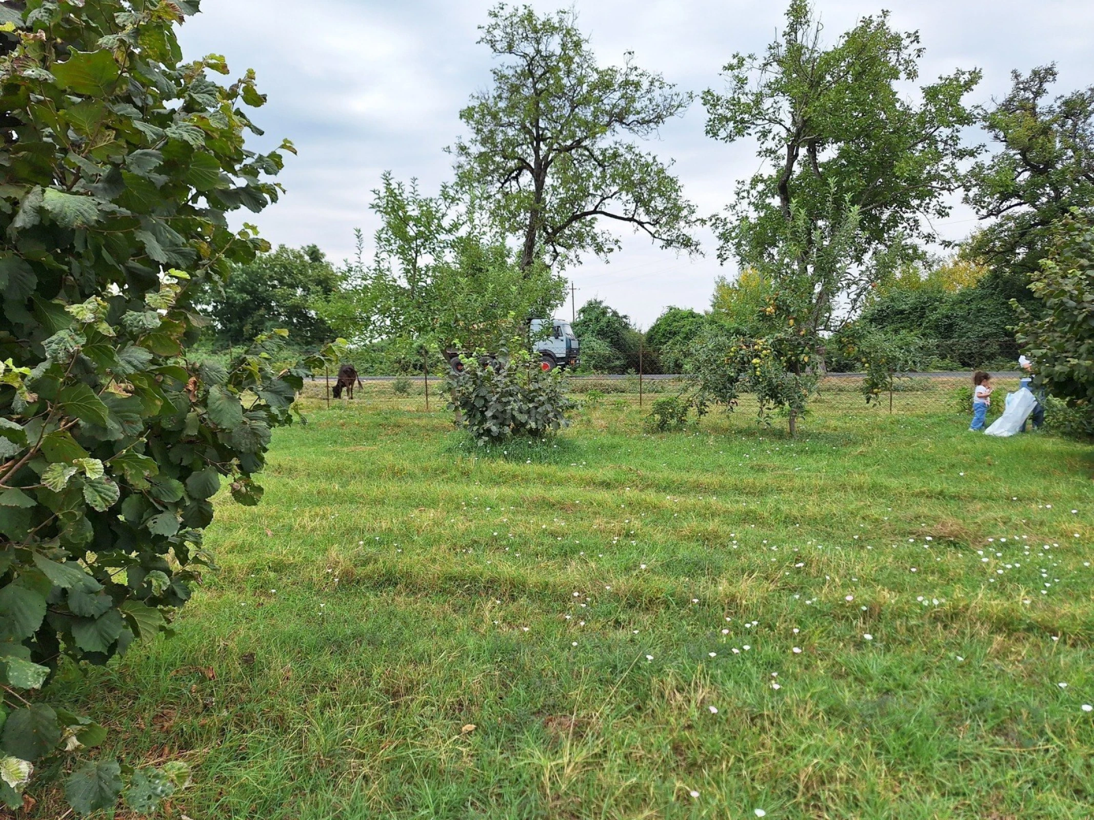 Satılır torpaq sahəsi 100 m²