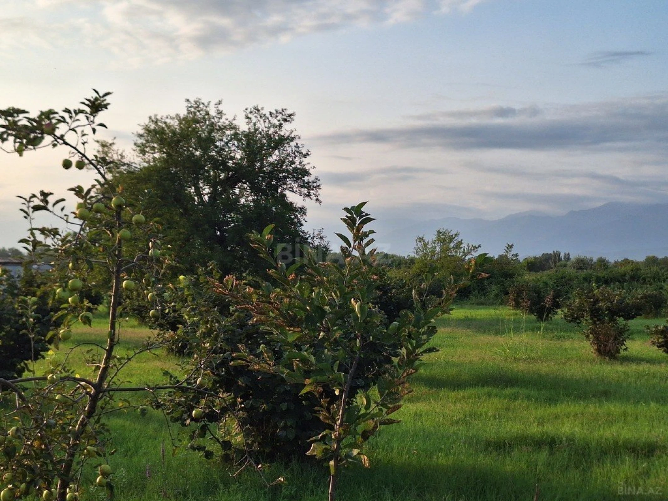 Satılır torpaq sahəsi 100 m²