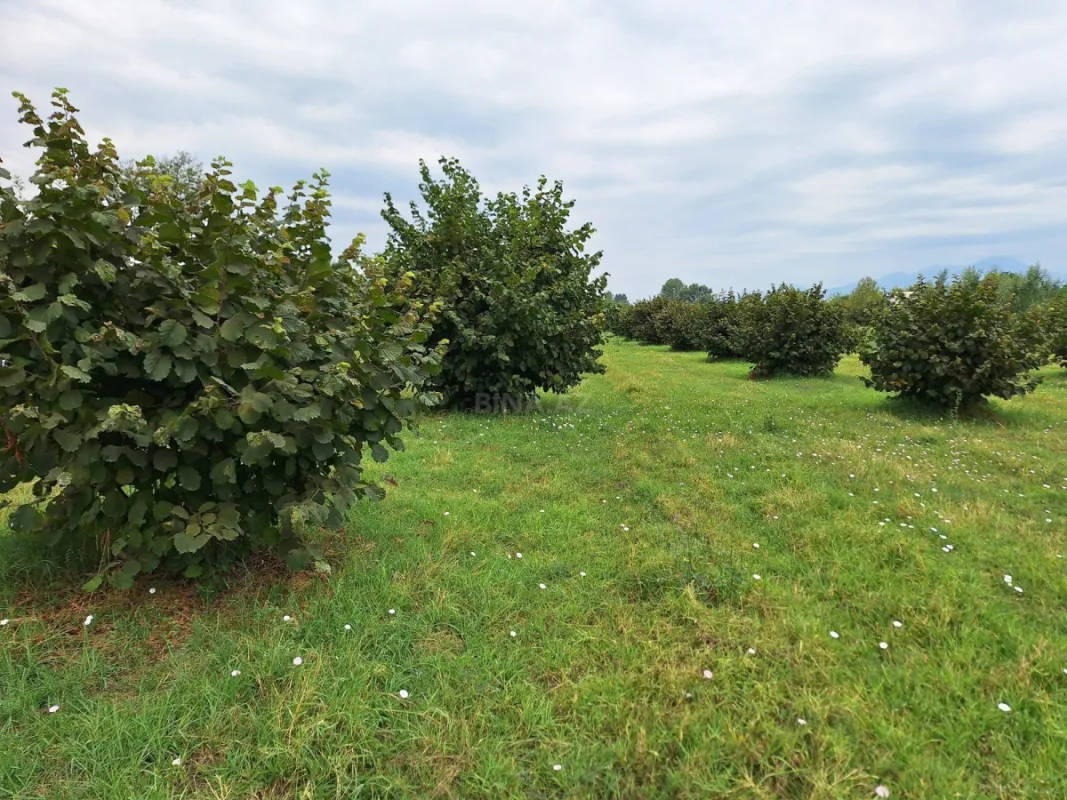 Satılır torpaq sahəsi 100 m²