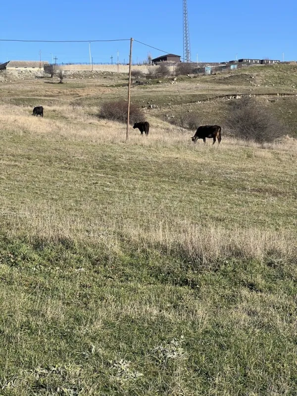 Satılır torpaq sahəsi 200 m²