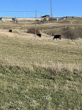 Satılır torpaq sahəsi 200 m²