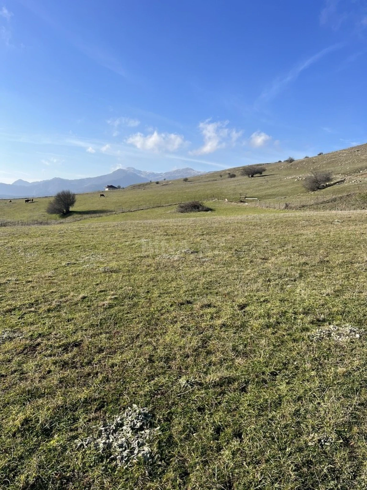 Satılır torpaq sahəsi 200 m²