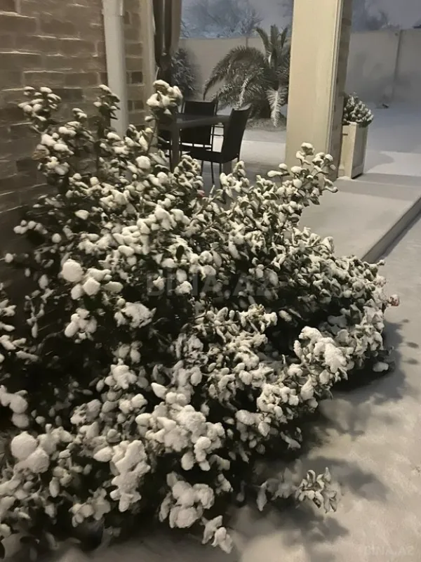 Kirayə verilir 5 otaqlı həyət evi 250 m²