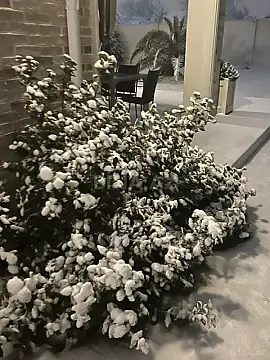 Kirayə verilir 5 otaqlı həyət evi 250 m²