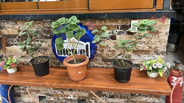 Satılır obyekt 400 m²