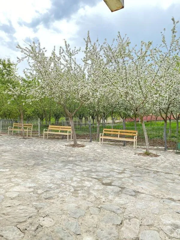 Kirayə verilir 3 otaqlı həyət evi 70 m²