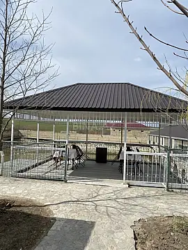 Kirayə verilir 1 otaqlı həyət evi 20 m²