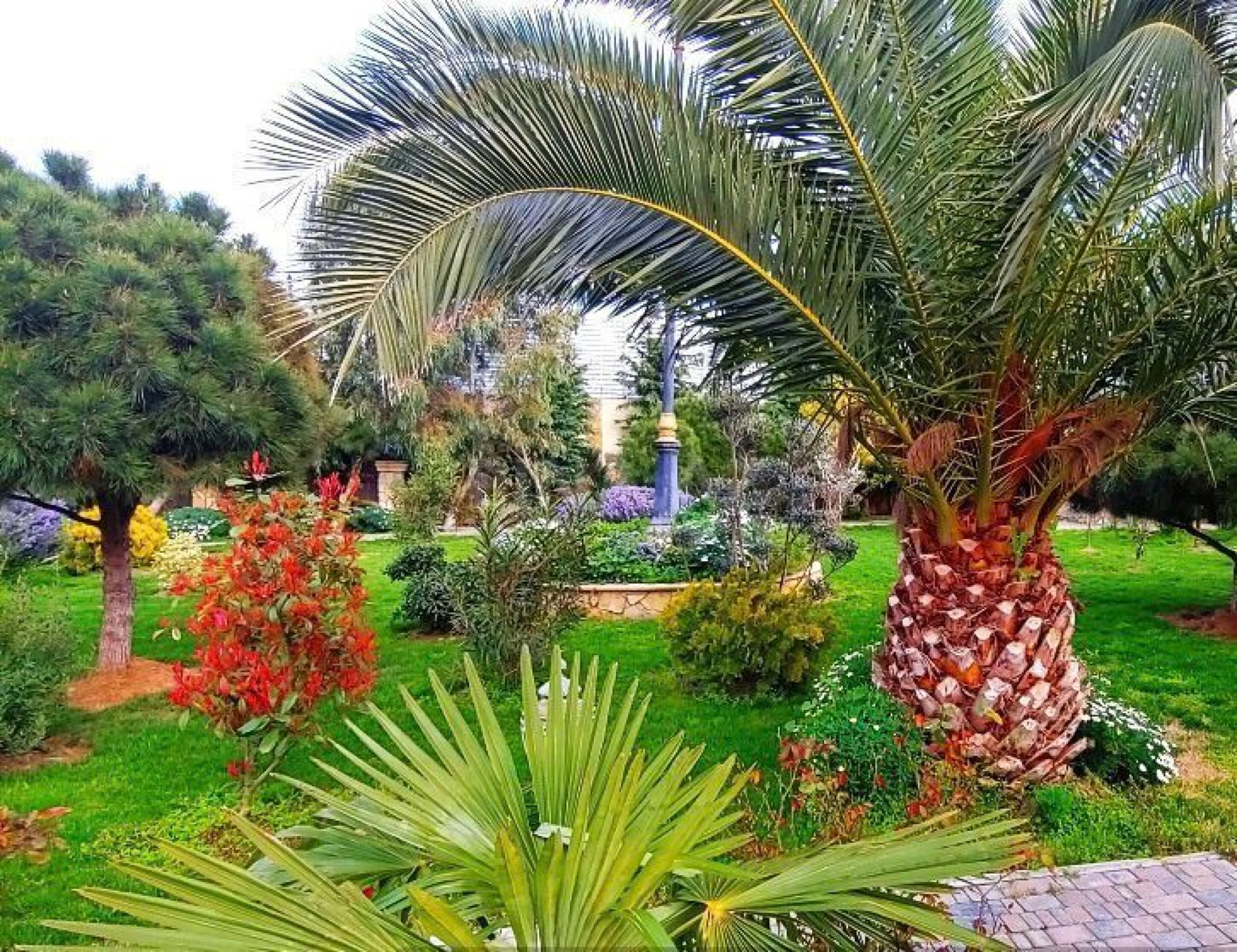 Kirayə verilir 4 otaqlı həyət evi 260 m²