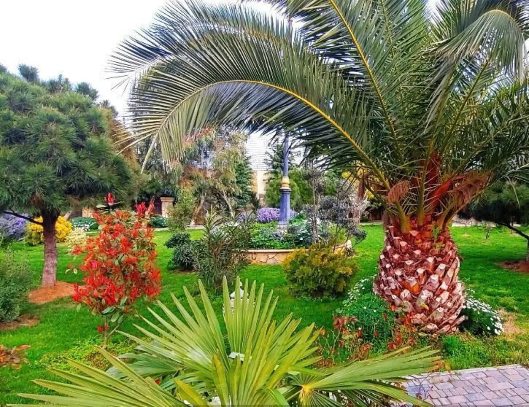 Kirayə verilir 4 otaqlı həyət evi 260 m²