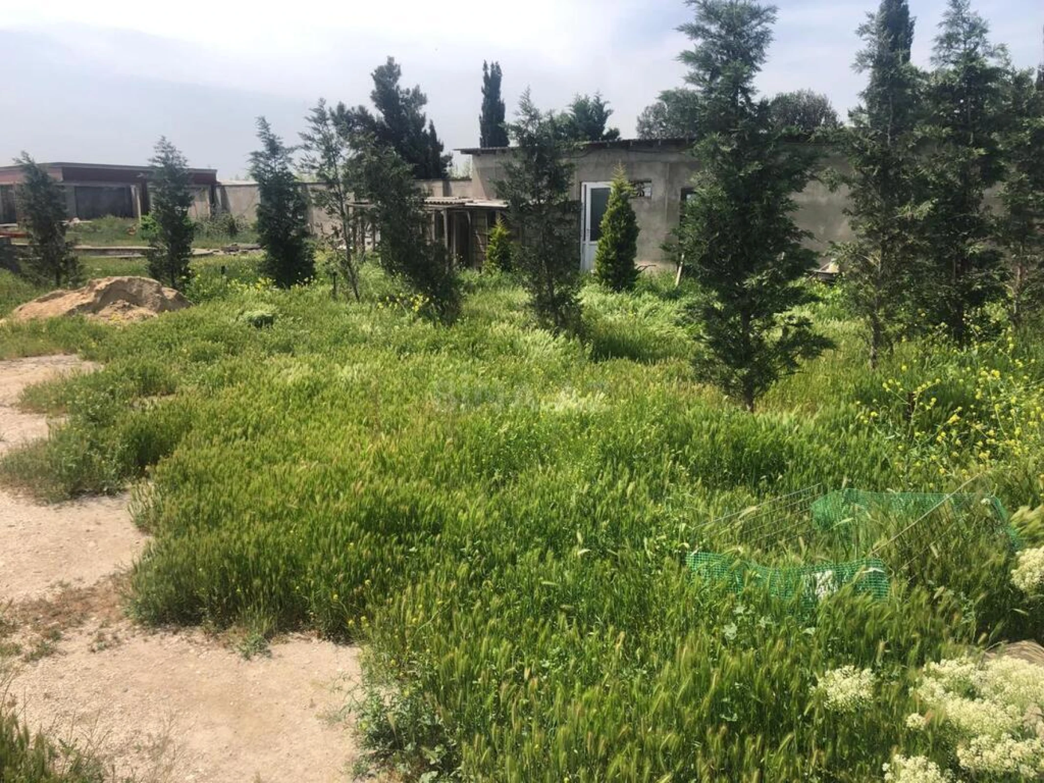 Satılır 7 otaqlı həyət evi 500 m²