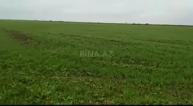 Satılır torpaq sahəsi 2000 m²