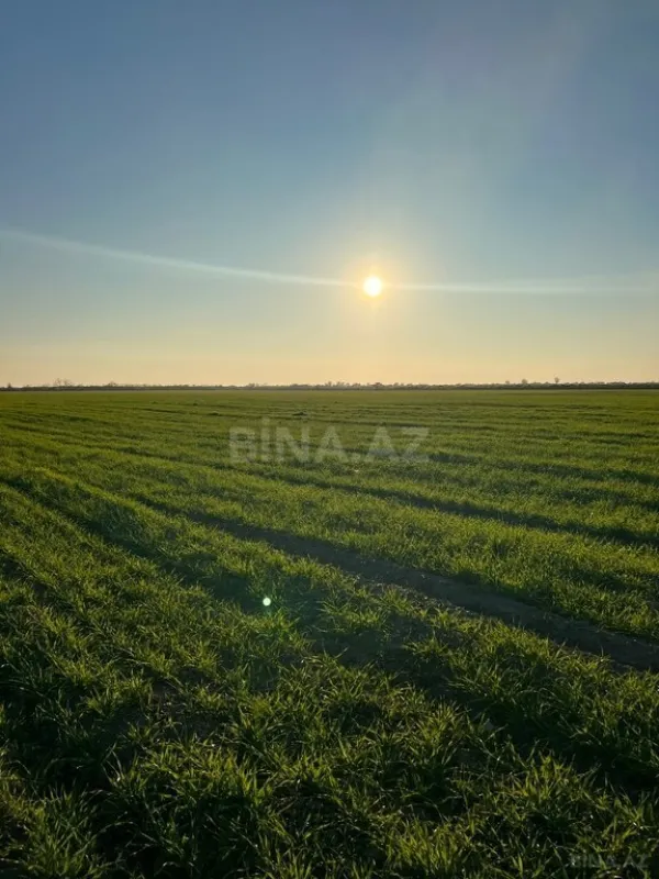 Satılır torpaq sahəsi 2000 m²