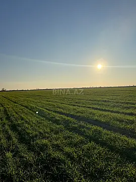 Satılır torpaq sahəsi 2000 m²