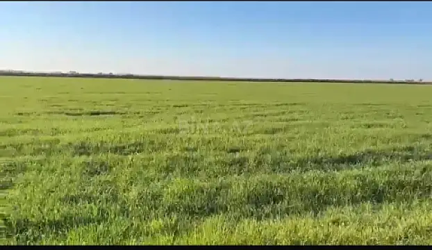 Satılır torpaq sahəsi 2000 m²