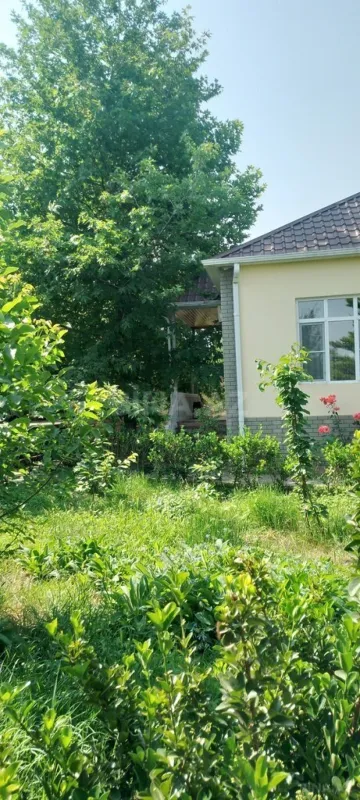 Kirayə verilir 4 otaqlı həyət evi 90 m²