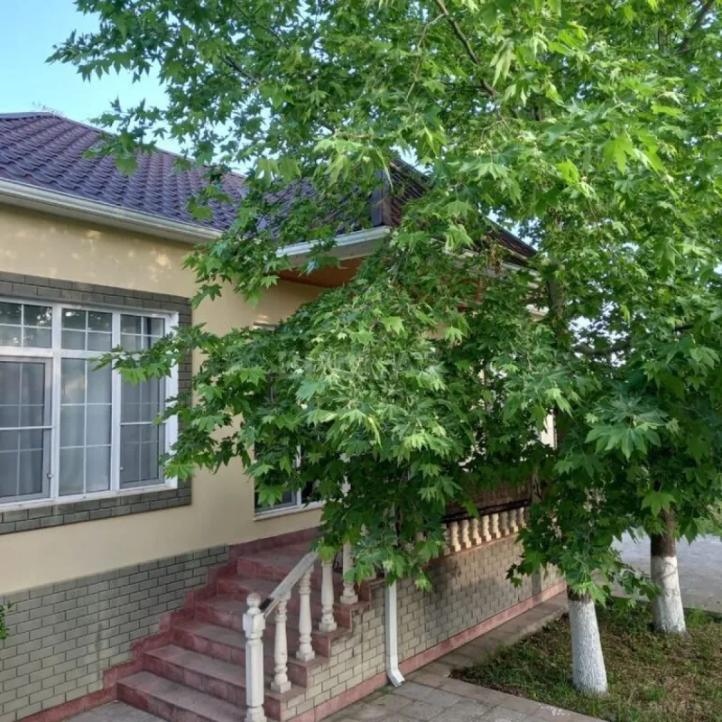 Kirayə verilir 4 otaqlı həyət evi 90 m²