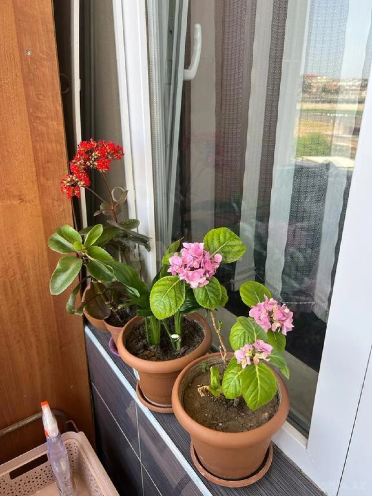 Satılır 3 otaqlı mənzil 97 m²