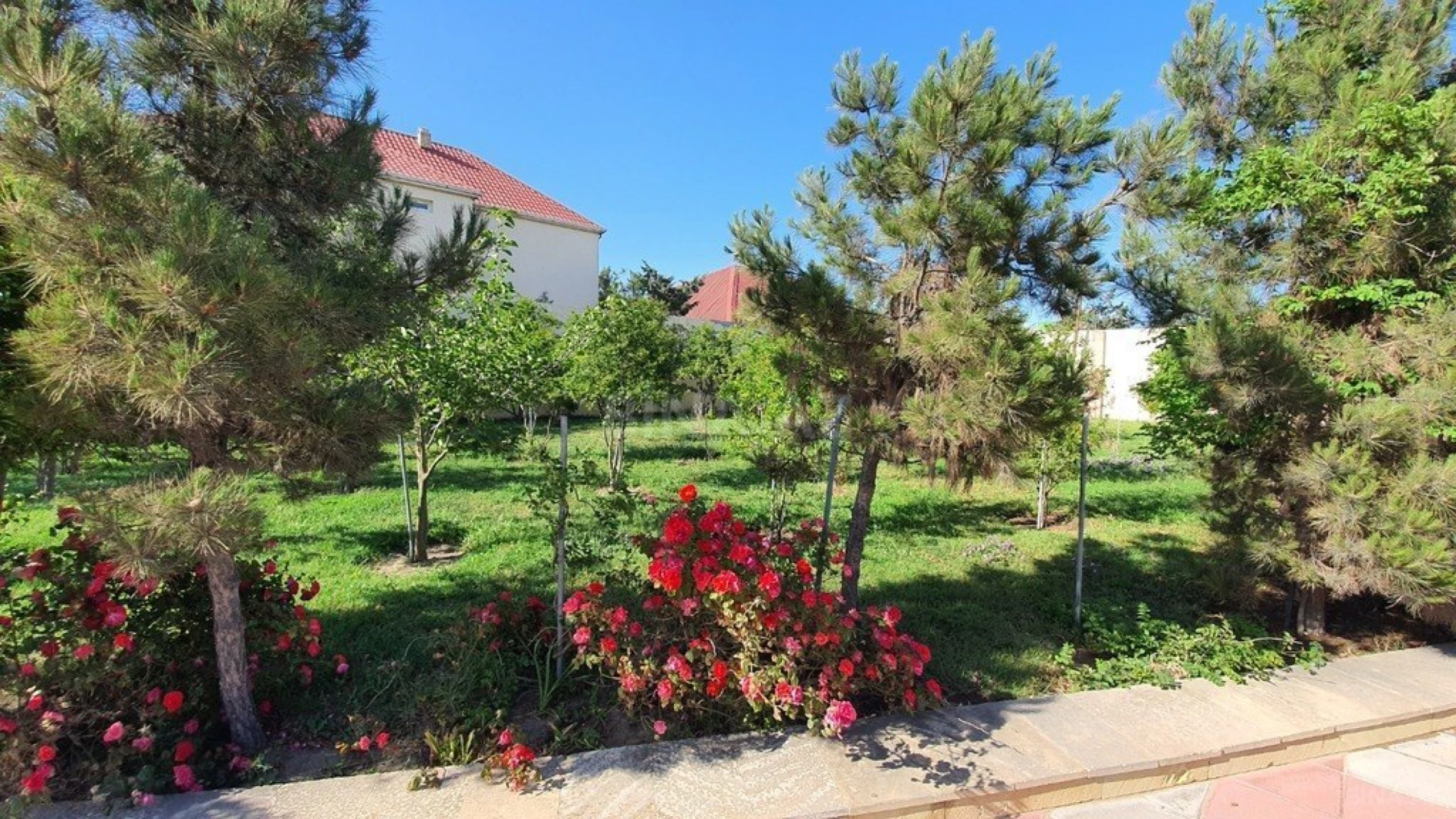 Satılır torpaq sahəsi 38 m²