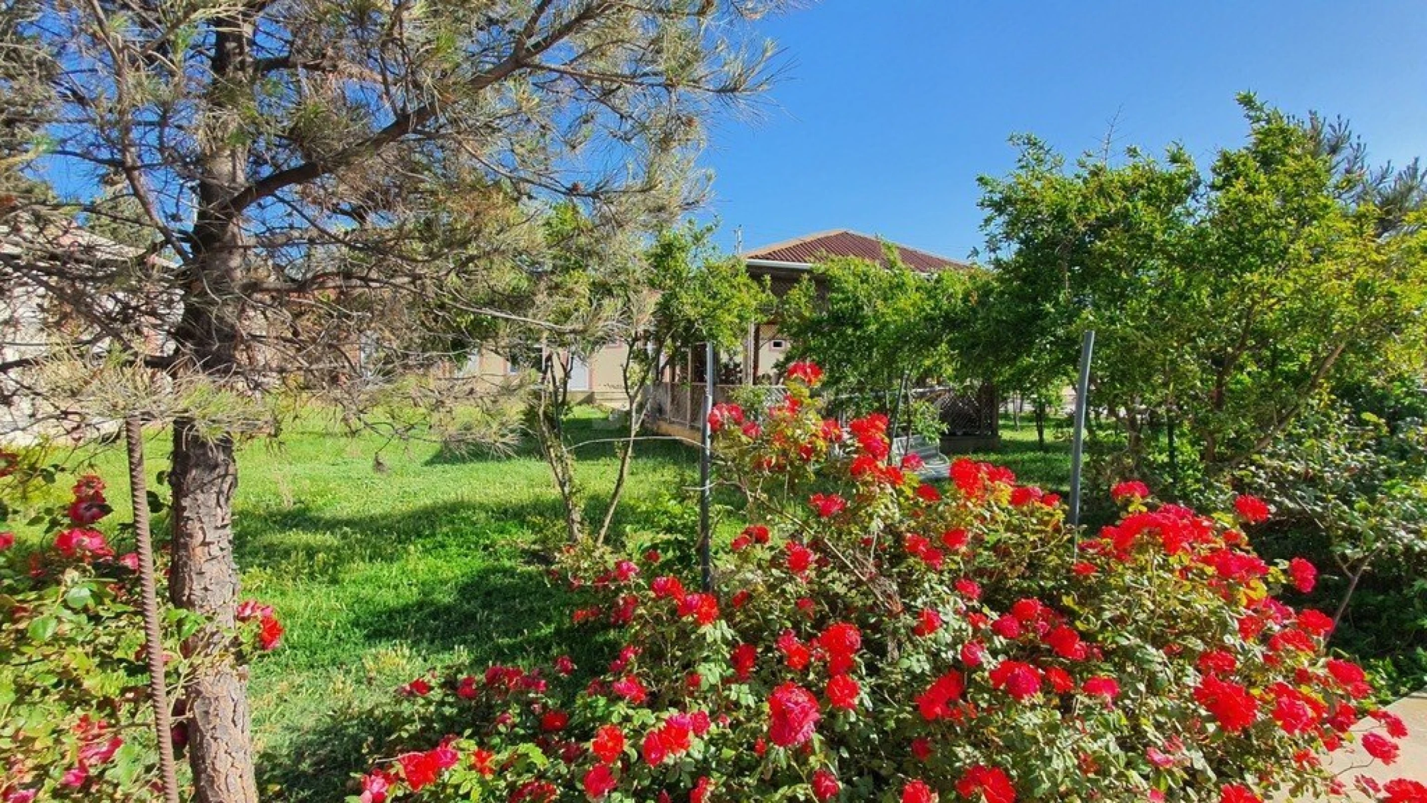 Satılır torpaq sahəsi 38 m²