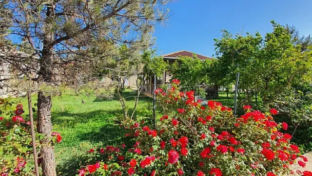 Satılır torpaq sahəsi 38 m²