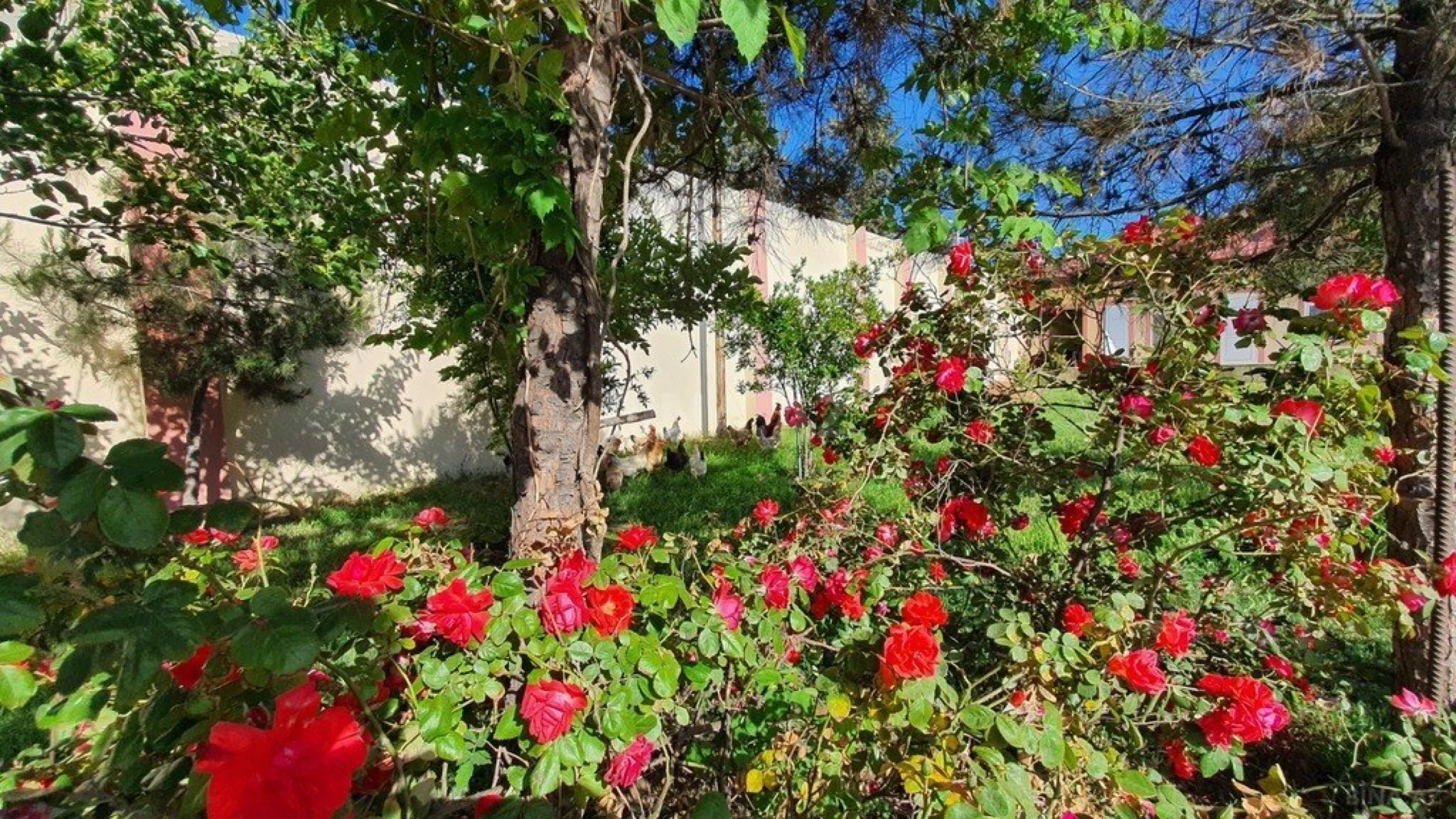 Satılır torpaq sahəsi 38 m²