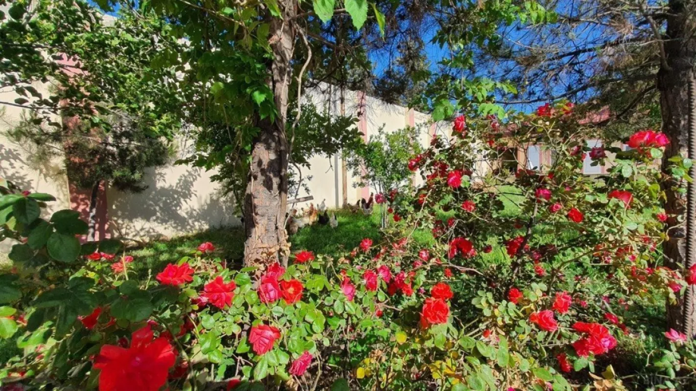 Satılır torpaq sahəsi 38 m²