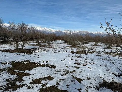 Satılır torpaq sahəsi 100 m²