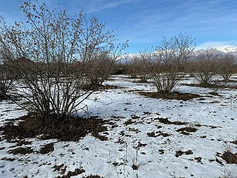 Satılır torpaq sahəsi 100 m²