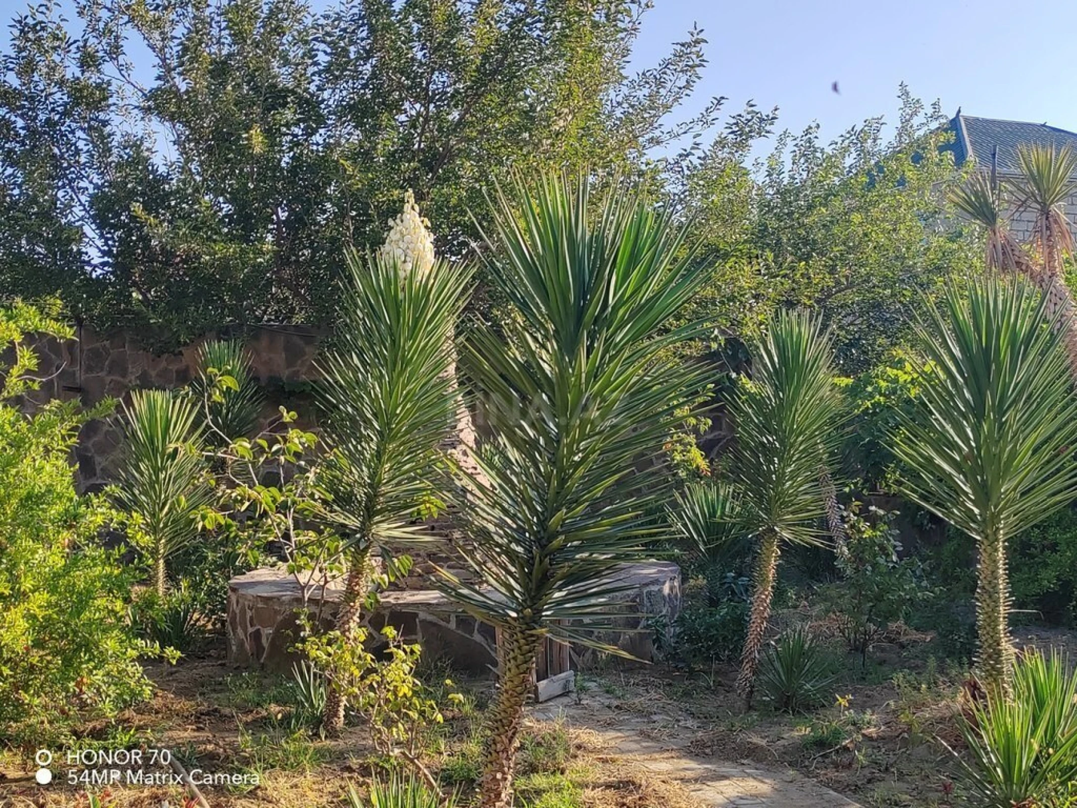 Satılır torpaq sahəsi 8 m²