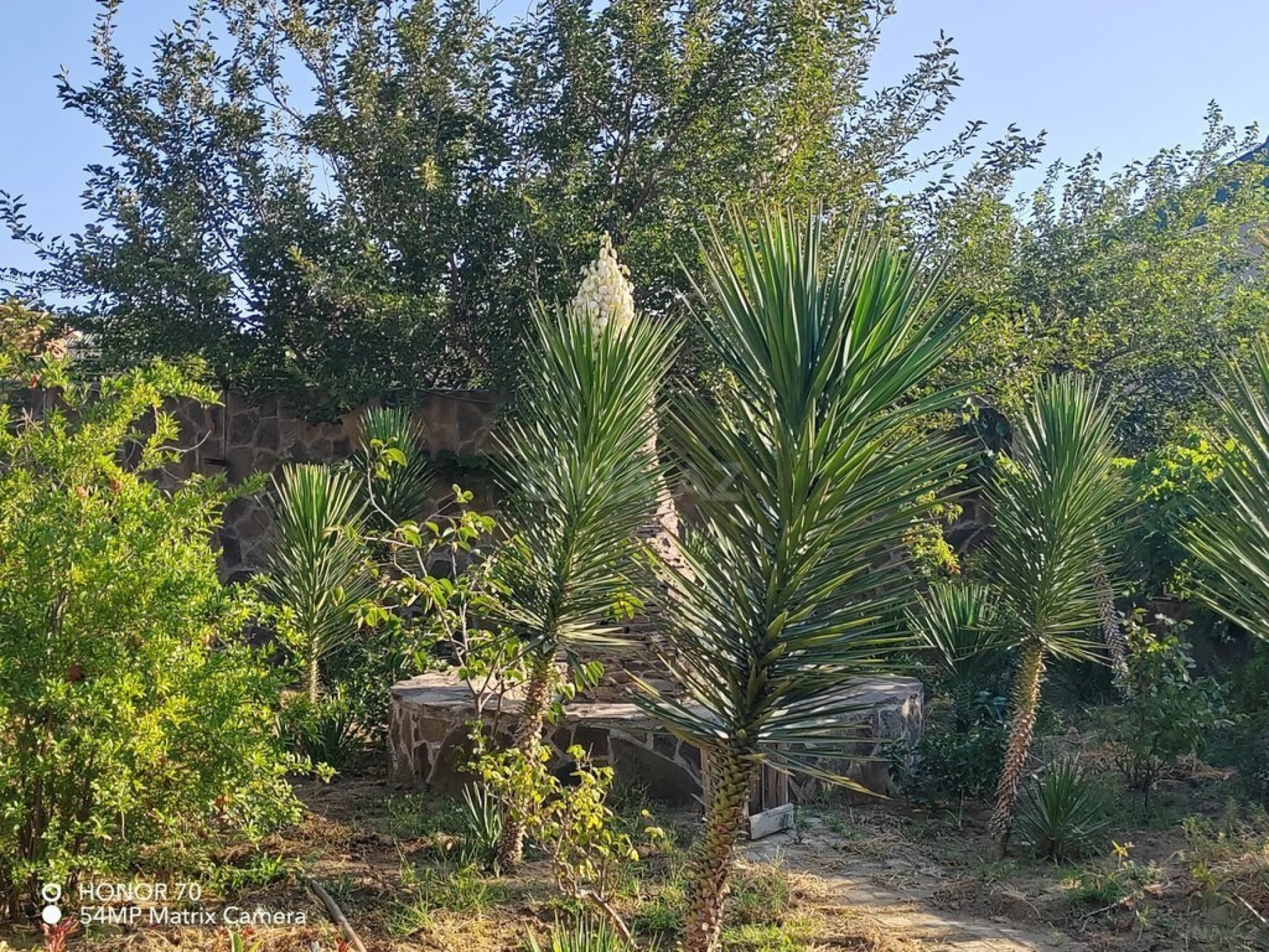 Satılır torpaq sahəsi 8 m²