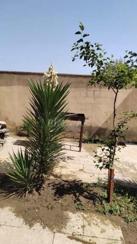 Satılır torpaq sahəsi 8 m²