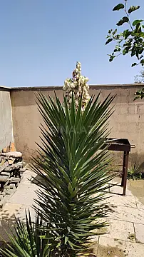 Satılır torpaq sahəsi 8 m²