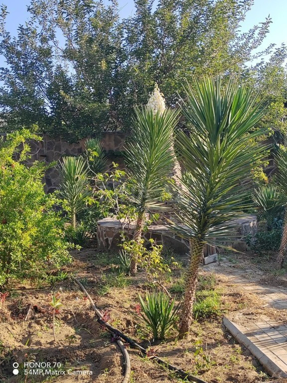 Satılır torpaq sahəsi 8 m²