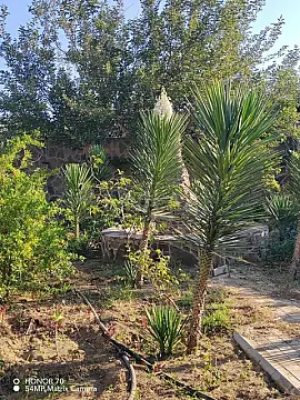 Satılır torpaq sahəsi 8 m²