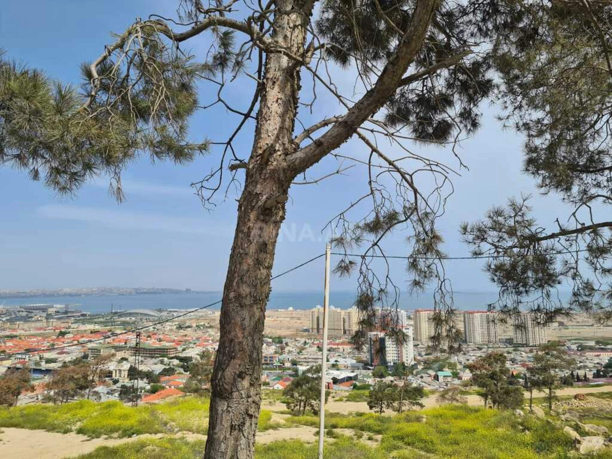 Satılır torpaq sahəsi 36 m²