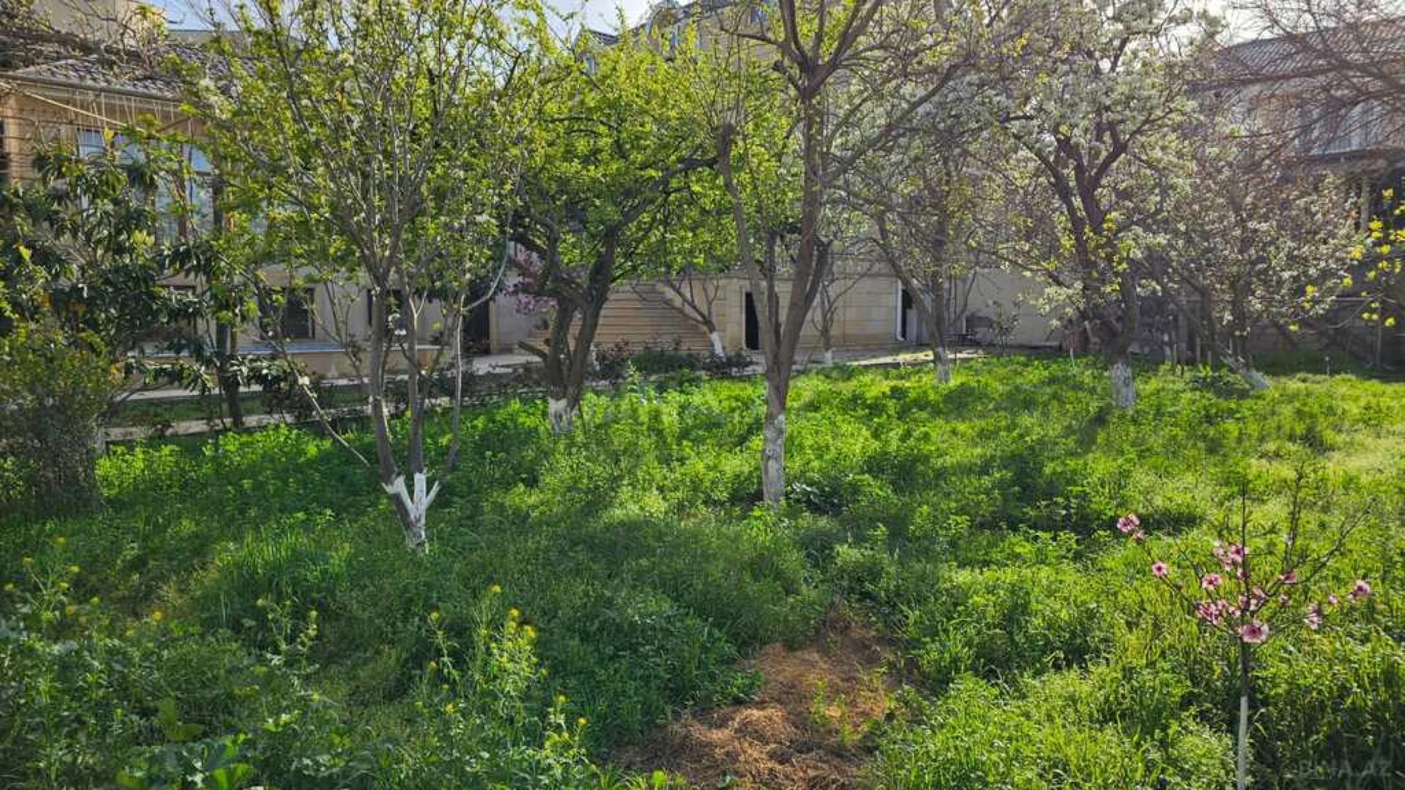 Satılır torpaq sahəsi 8 m²