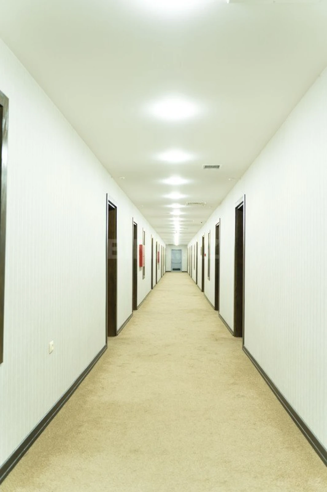 Kirayə verilir 1 otaqlı ofis 30 m²