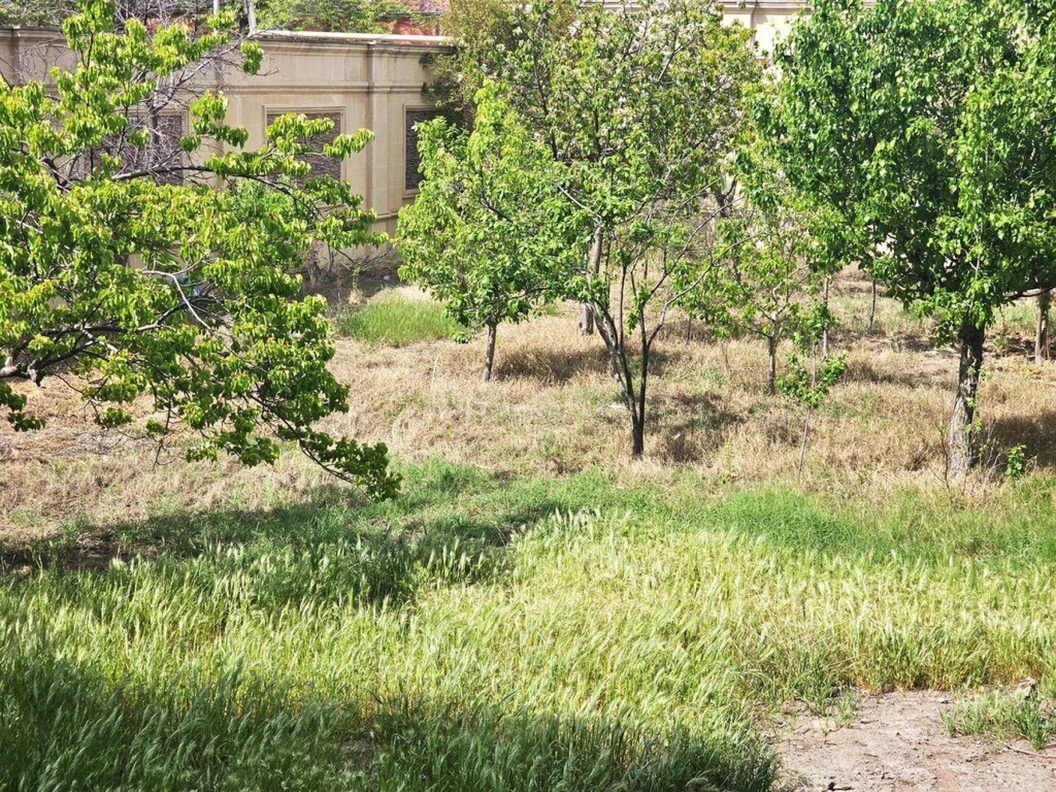 Satılır 10 otaqlı həyət evi 1000 m²