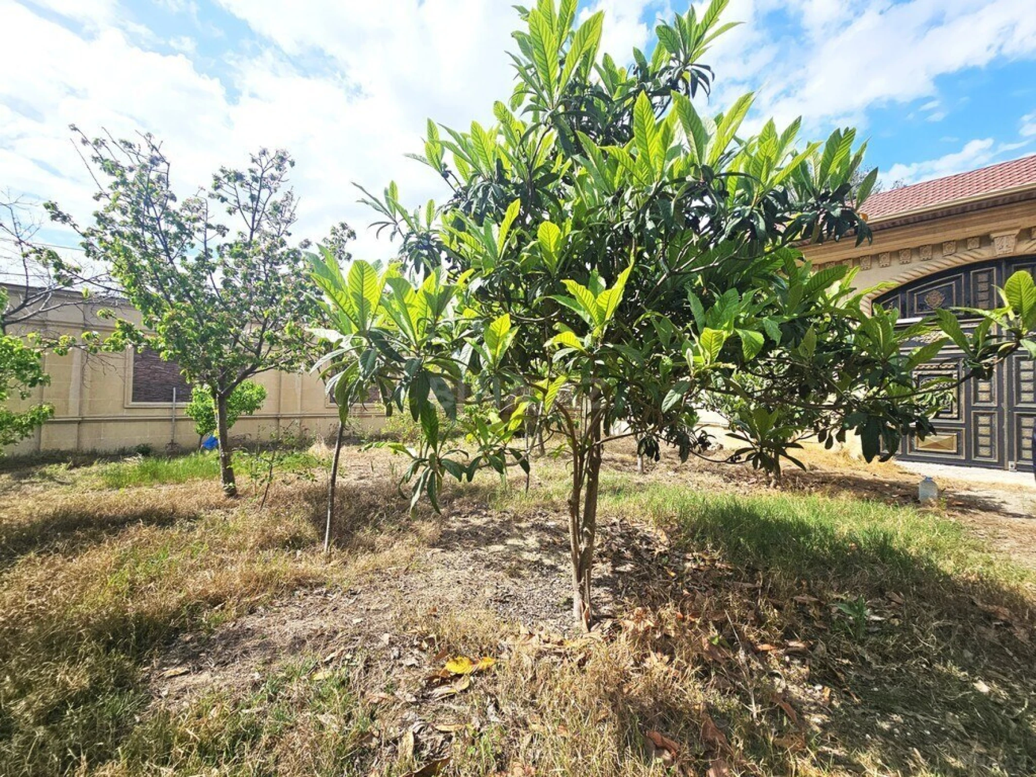 Satılır 10 otaqlı həyət evi 1000 m²