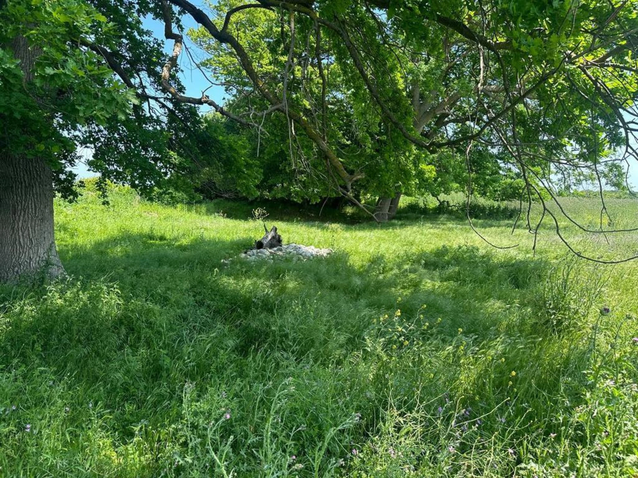 Satılır torpaq sahəsi 9 m²