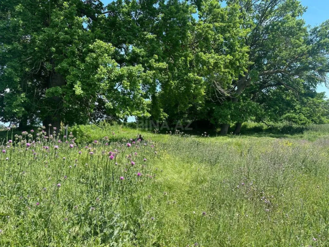 Satılır torpaq sahəsi 9 m²