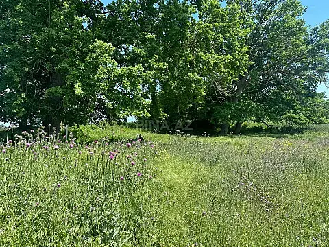 Satılır torpaq sahəsi 9 m²