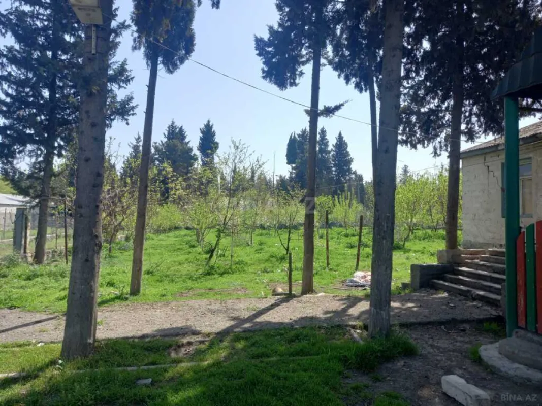 Satılır obyekt 175 m²